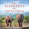 The_Elephants_of_Thula_Thula