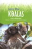 Save_the___koalas