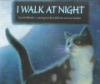 I_walk_at_night