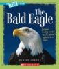 The_bald_eagle