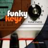 Funky_Keys
