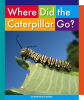 Where_Did_the_Caterpillar_Go_