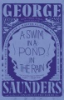 A_Swim_in_a_Pond_in_the_Rain