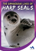 The_Dangerous_Lives_of_Harp_Seals